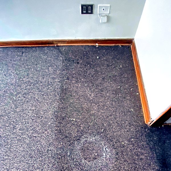 Alfombra manchada antes