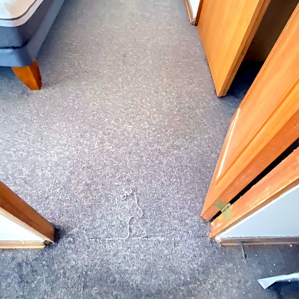 Alfombra limpia después